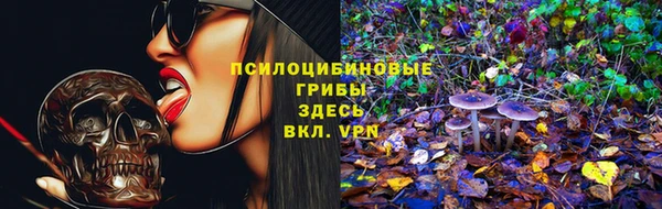 бошки Вяземский