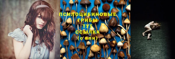 бошки Вяземский